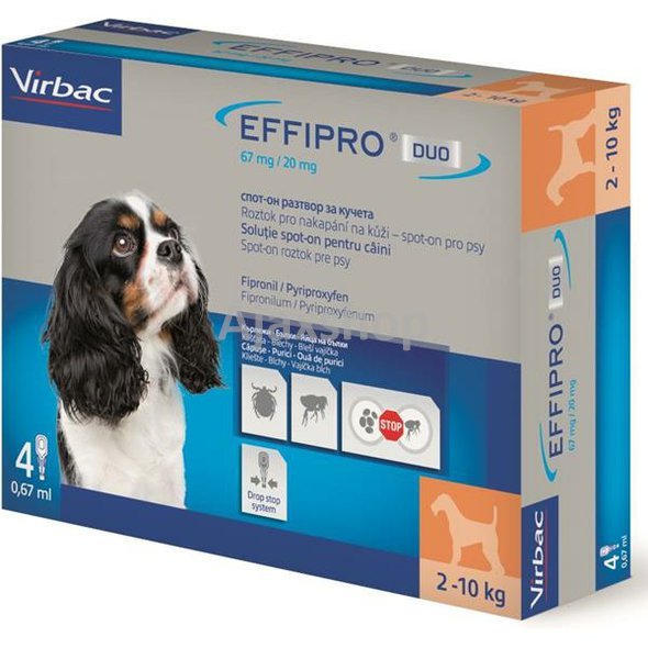 VET04222-1698070864.jpg