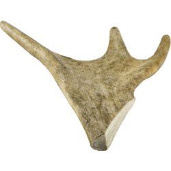 ZB001351-1513761550.jpg