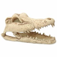 Dekorace Repti Planet Krokodýl lebka 13,8x6,8x6,5cm-KS